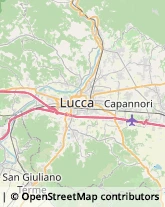 Notai Capannori,55012Lucca