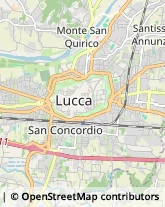 Consulenza del Lavoro Lucca,55100Lucca