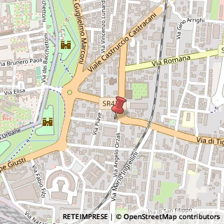 Mappa Viale Armando Diaz, 225, 55100 Lucca, Lucca (Toscana)