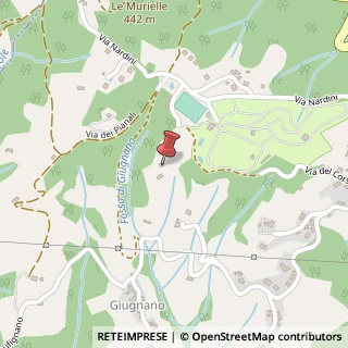 Mappa Via dei Nardini, 13, 51035 Lamporecchio, Pistoia (Toscana)