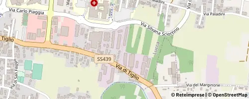 Mappa Lucca
