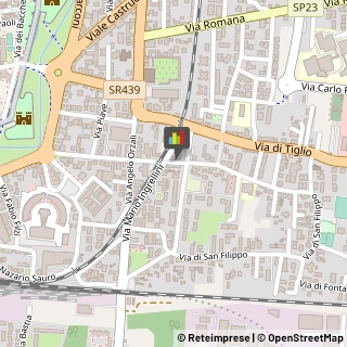 Bed e Breakfast,55100Lucca