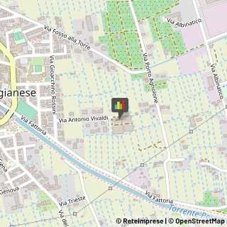 Frutta e Verdura - Dettaglio,51019Pistoia