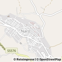 Karta Naro