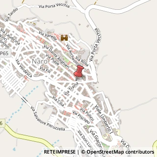 Mappa Via Vittorio Emanuele, 24, 92028 Naro, Agrigento (Sicilia)