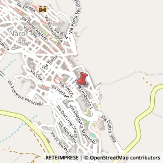 Mappa Viale Umberto I, 116, 92028 Naro, Agrigento (Sicilia)
