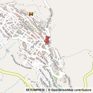 Mappa Via s. giuliano 39, 92028 Naro, Agrigento (Sicilia)