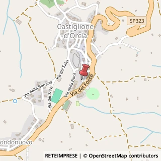Mappa Viale Marconi, 10, 53023 Castiglione d'Orcia, Siena (Toscana)