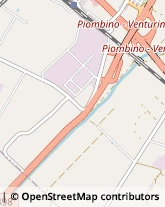 Autofficine e Centri Assistenza Campiglia Marittima,57021Livorno