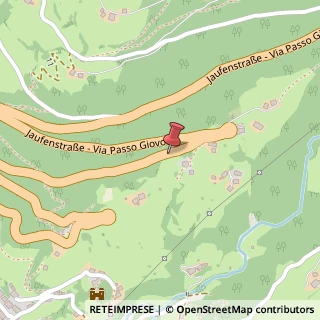 Mappa Via Passo Giovo,  41, 39015 San Leonardo in Passiria, Bolzano (Trentino-Alto Adige)