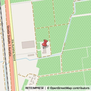 Mappa Strada Provinciale Gavorranese, 137, 57022 Castagneto Carducci, Livorno (Toscana)