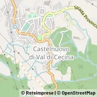 Kort Castelnuovo di Val di Cecina