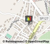 Agenti e Rappresentanti di Commercio,62029Macerata