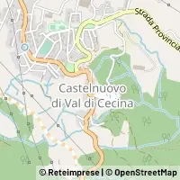 Map Castelnuovo di Val di Cecina