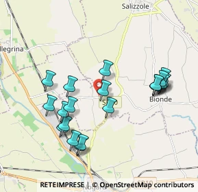 Mappa ViaVia Torre, 37056 Salizzole VR, Italia (1.9265)