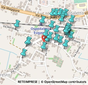 Mappa Negozio in, 35045 Ospedaletto Euganeo PD, Italia (0.21724)