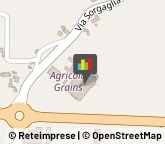 Cereali e Granaglie,35020Padova