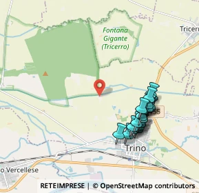 Mappa 7H+PJ, 13039 Trino VC (1.9885)