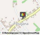 Ceramiche Artistiche Ospedaletto Euganeo,35045Padova