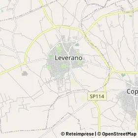 Mappa Leverano