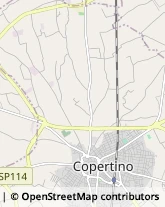 Autotrasporti Copertino,73043Lecce