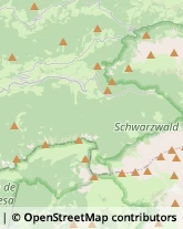 Associazioni e Federazioni Sportive Santa Cristina Valgardena,39047Bolzano