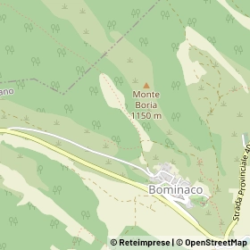 Mappa 67020
