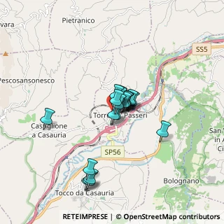 Mappa Via San Rocco, 65029 Torre De' Passeri PE, Italia (1.173)
