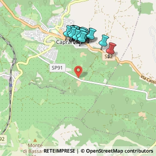 Mappa SP 91, 01012 Capranica VT, Italia (1.036)