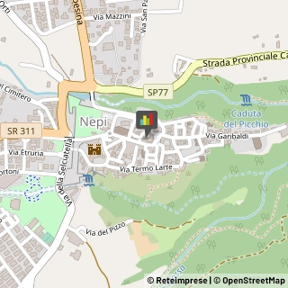 Assicurazioni Nepi,01036Viterbo