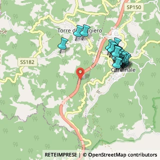 Mappa Strada Statale 713 Trasversale delle Serre, 88060 Torre di Ruggiero CZ, Italia (1.172)