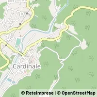 Kart Cardinale