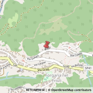 Mappa Via Zuliani, 18, 33030 Forgaria nel Friuli, Udine (Friuli-Venezia Giulia)