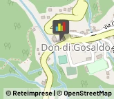 Frutta e Verdura - Dettaglio Gosaldo,32020Belluno