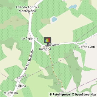Agriturismi,48018Ravenna