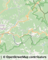 Autotrasporti Fivizzano,54013Massa-Carrara