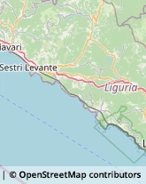 Parrucchieri Levanto,19015La Spezia