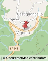 Località Vigneta, 62,54014Casola in Lunigiana