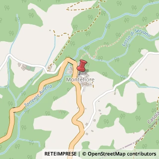 Mappa Localita' carpinelli, 55034 Casola in Lunigiana, Massa-Carrara (Toscana)