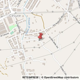 Mappa Strada Colli DI Valenza, 12, 05100 Terni, Terni (Umbria)