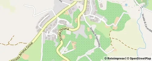 Mappa Amelia