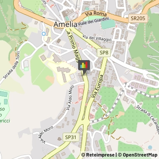 Assicurazioni,05022Terni