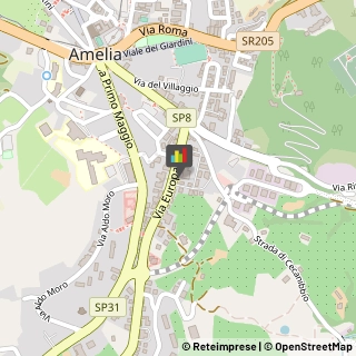 Assicurazioni,05022Terni