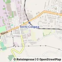 Harita Terni