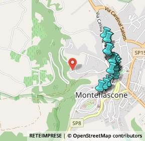 Mappa Via Bisentina, 01027 Montefiascone VT, Italia (0.54)