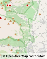 Mangimi e Foraggi Alì,95016Messina