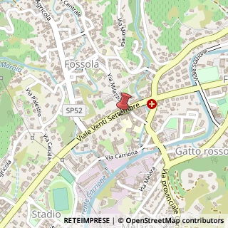 Mappa Viale XX Settembre, 118, 54033 Carrara, Massa-Carrara (Toscana)