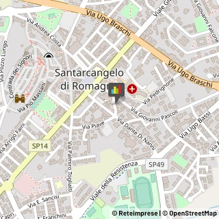 Piante e Fiori - Ingrosso Santarcangelo di Romagna,47822Rimini