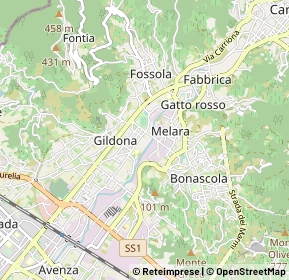 Mappa 54033 Carrara MS, Italia (0.938)
