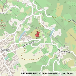 Mappa Strada Comunale di Monteverde, 24, 54033 Carrara, Massa-Carrara (Toscana)